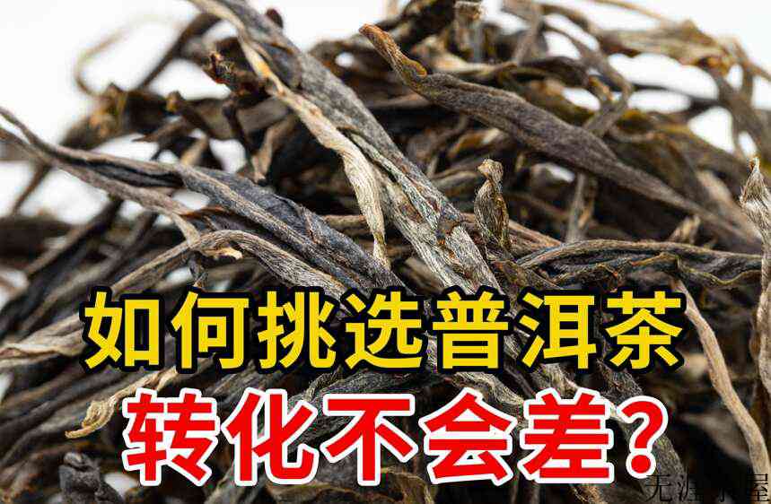 怎样挑选合适的普洱茶？新茶熟茶有这六大特征，后期转化不会差(普洱生茶和熟茶的功效)