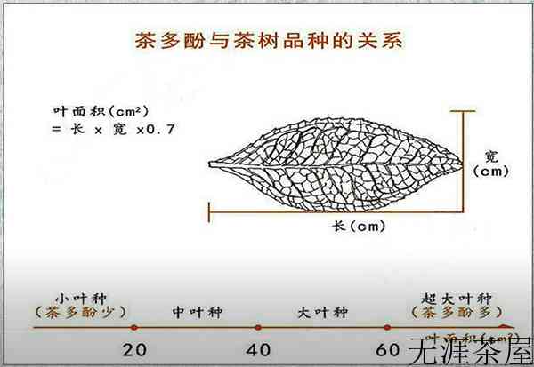 为什么不苦不涩不为茶？（为什么不苦不涩不为茶）()