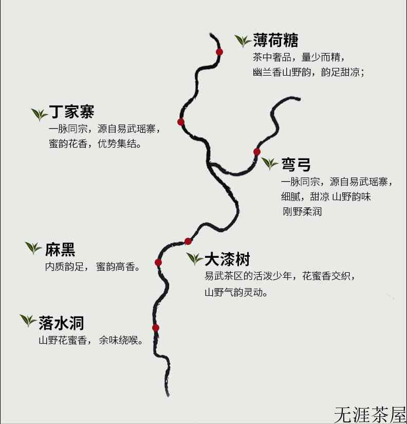 易武六山古熟：一次喝遍落水洞、弯弓、薄荷塘等六大名山熟茶