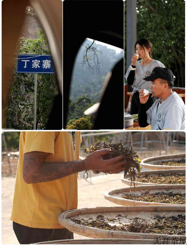 2019年易武香椿林头春古茶：蜜韵甘醇，气韵皎然，生津回甘炸裂