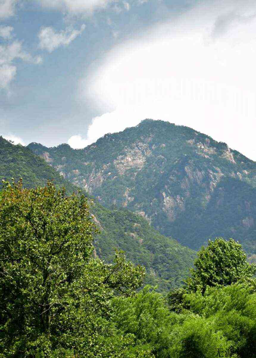 花香果香蜜香，伴山伴水伴田，祁门红茶