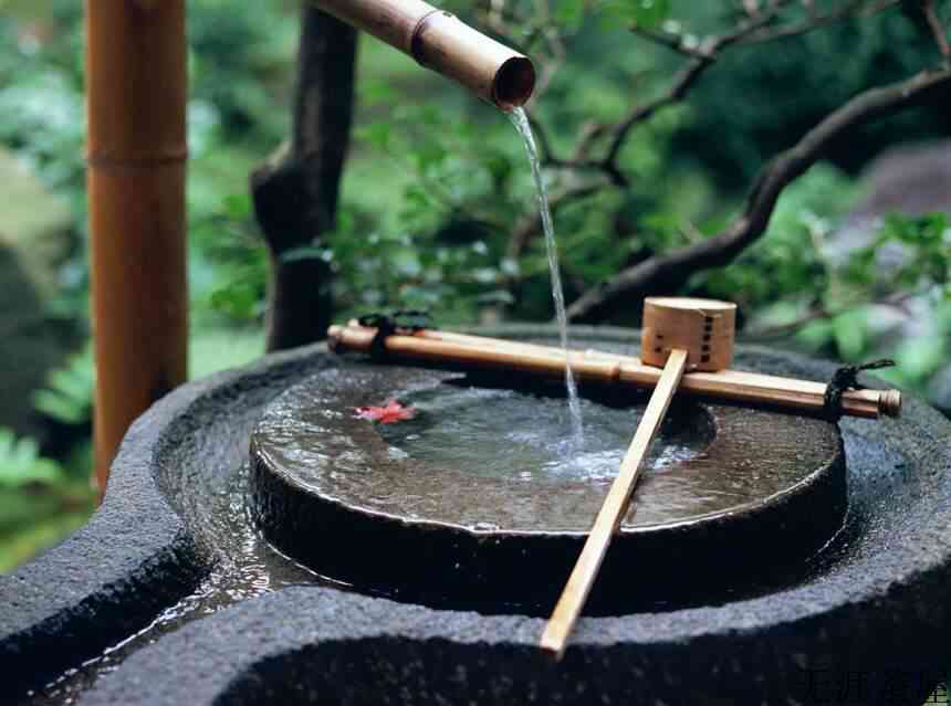 茶的灵魂伴侣——水