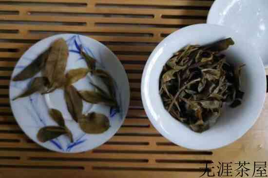 猫耳朵古树茶价格