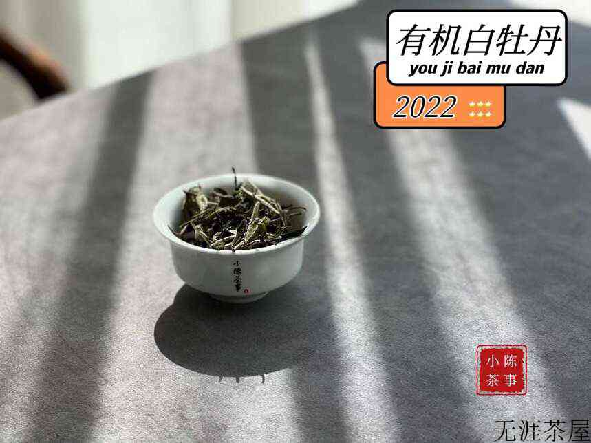 适合新手收藏的白茶白牡丹，究竟是哪一种？看看你选对了吗？