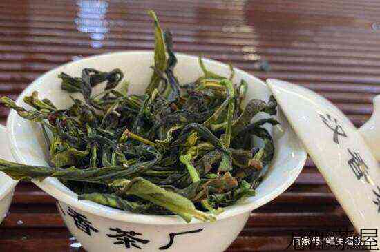 说一说鸭屎香属于什么茶类？