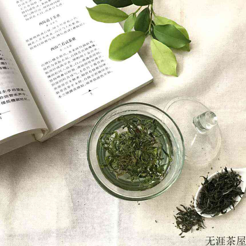 绿茶上市啦，随我走进茶山看看