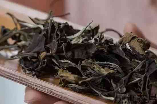 白茶和普洱茶哪个更好，喝普洱好还是白茶好？