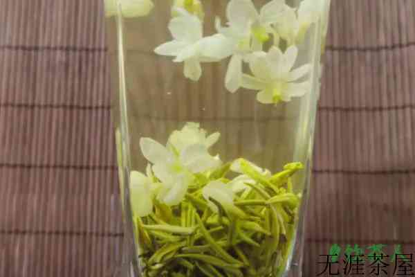 茉莉花茶属于什么茶，茉莉花茶属于绿茶吗(花茶代表品种)