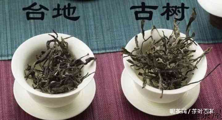 怎样区分台地茶和古树茶