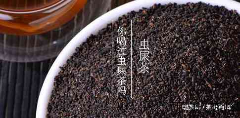 虫屎茶是什么茶