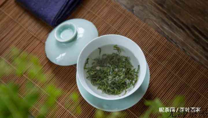 信阳毛尖哪个季节的茶叶最好