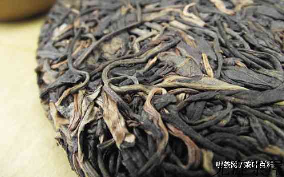 蛮砖普洱茶以及茶山的特点