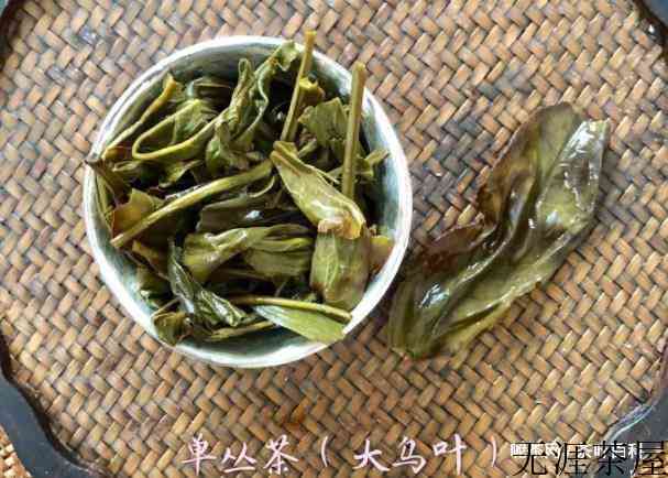 大乌叶单丛茶简介