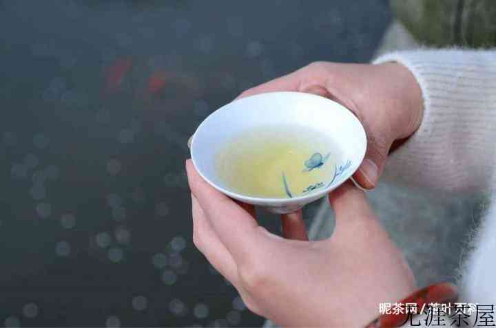 如何斟茶、品茶、添茶？