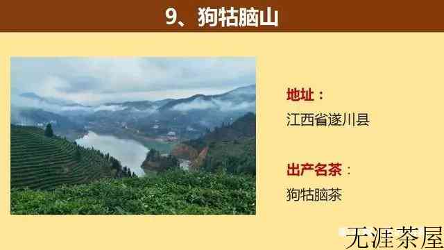 中国著名的茶山大汇总，看看你知道几个？