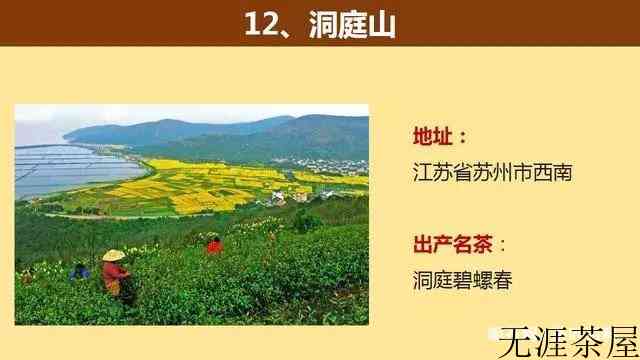 中国著名的茶山大汇总，看看你知道几个？