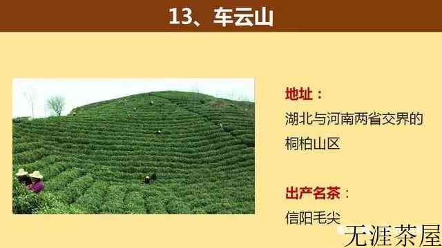 中国著名的茶山大汇总，看看你知道几个？