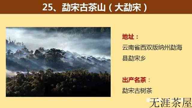 中国著名的茶山大汇总，看看你知道几个？