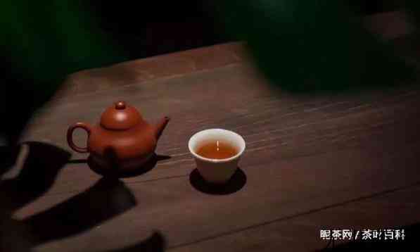 要泡好一杯茶，这6件茶具必不可少