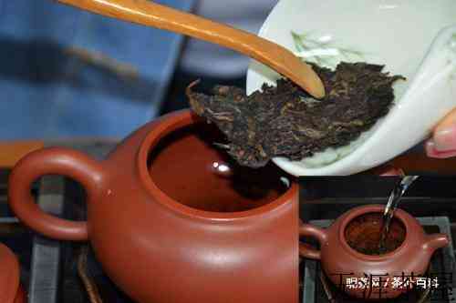 普洱茶怎样冲泡