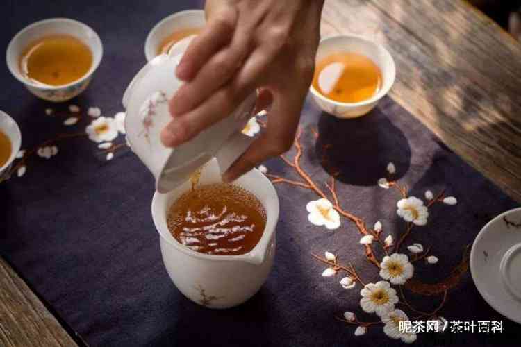 红茶为什么要80度