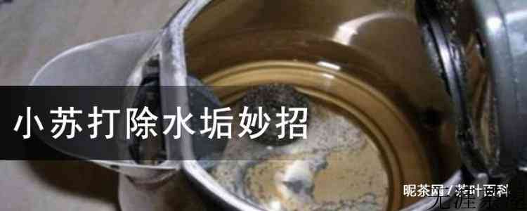 小苏打除水垢妙招