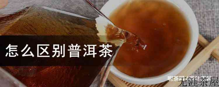 怎么区别普洱茶