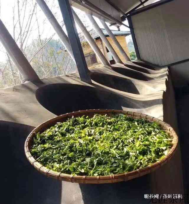 细说云南各大山头普洱茶的特点，对普洱茶的疑惑都在这里了