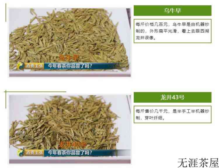 面对各地出产的龙井茶，教你一招分辨正宗西湖龙井，避免入坑