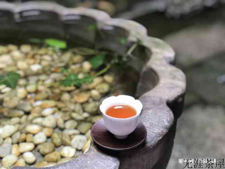 大红袍茶怎么冲泡