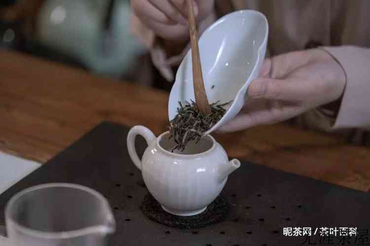 花茶用什么杯子泡最好