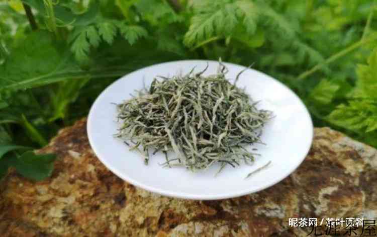 信阳毛尖明前茶特点