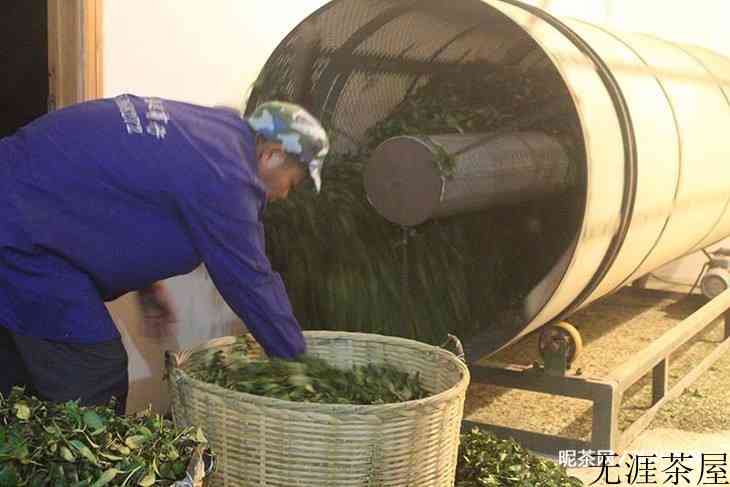 信阳毛尖属于炒青绿茶吗