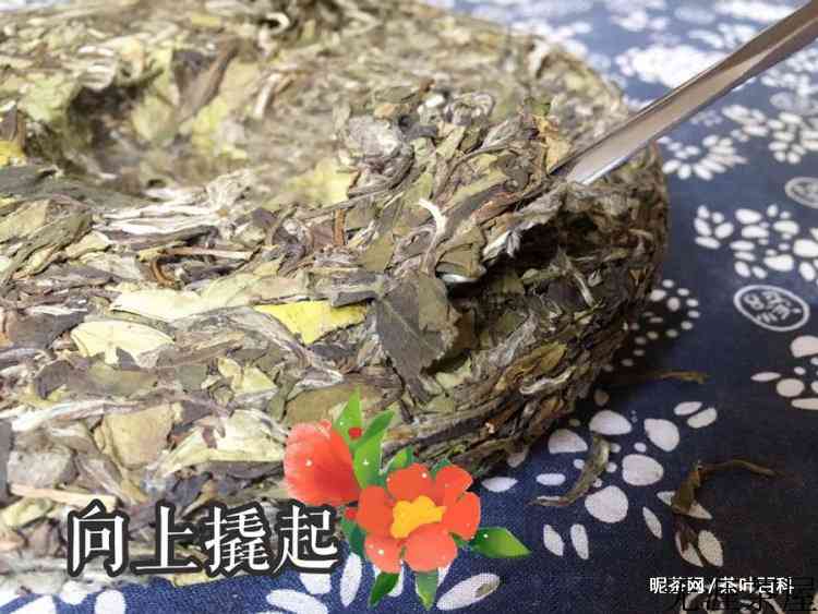 福鼎白茶饼怎么弄碎