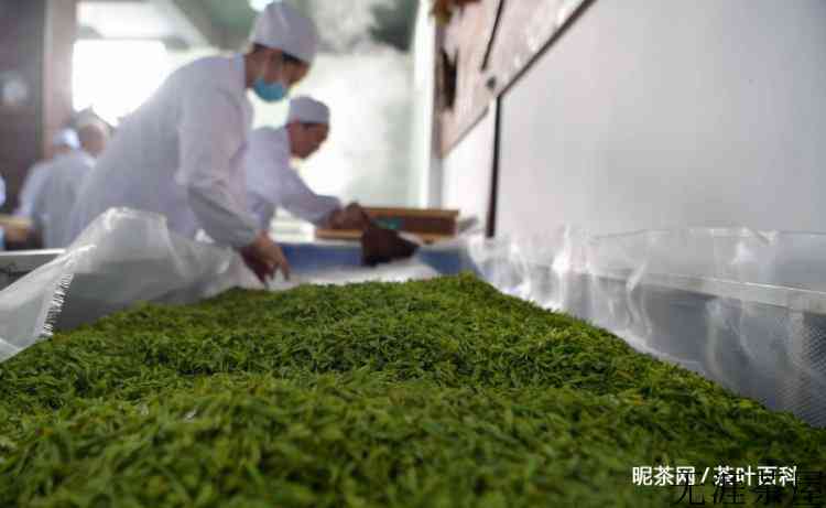 恩施玉露茶叶含水量一般为