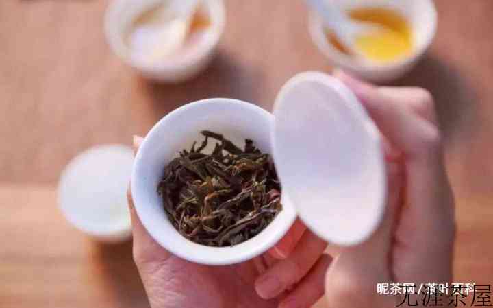 茶叶第二天还能泡吗