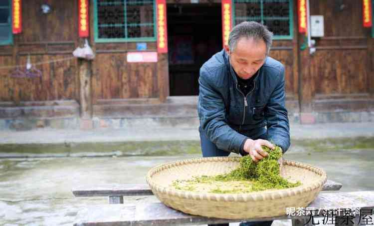 绿茶制作的第1个工艺是什么