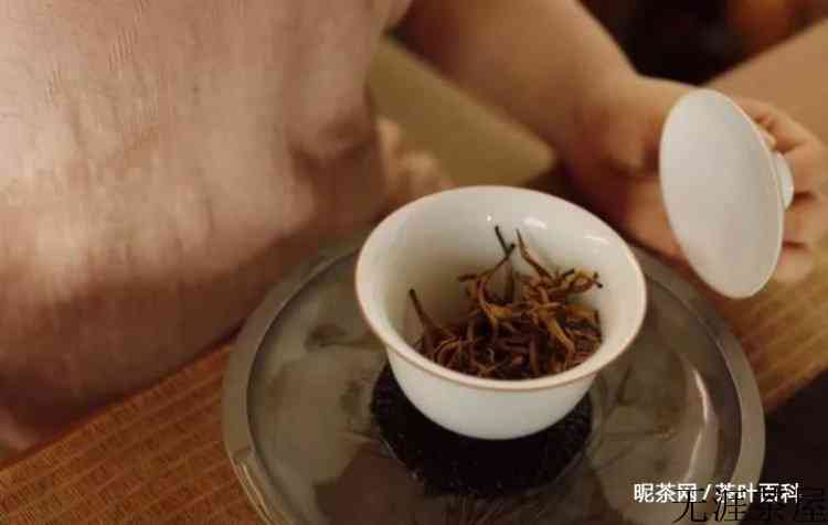 泡茶苦涩难喝！学会这几招，泡一杯好喝的茶不难