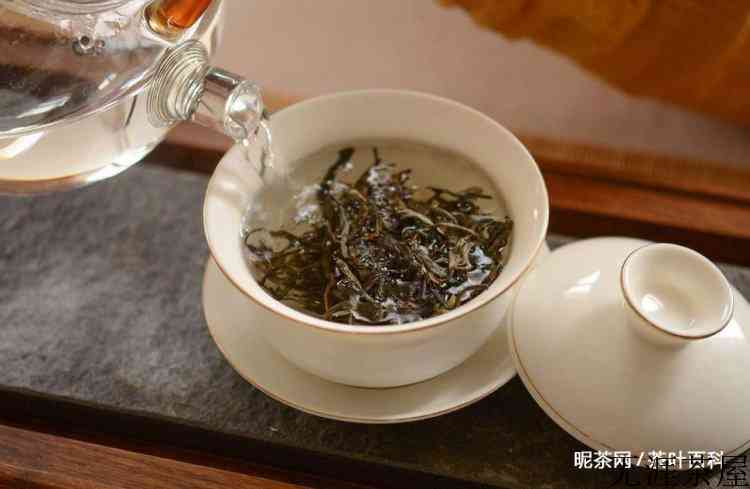 普洱茶怎么泡