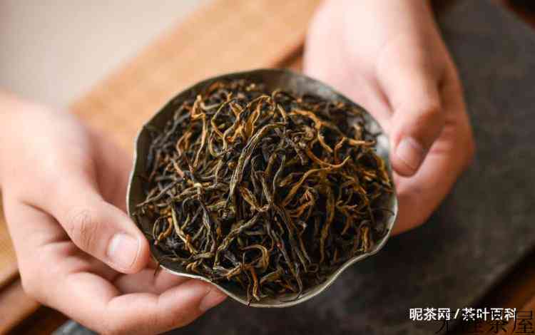 云南滇红茶怎么泡才好喝