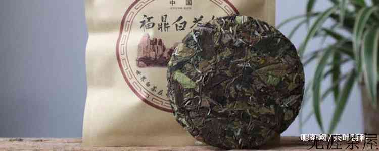 白茶需要洗茶吗