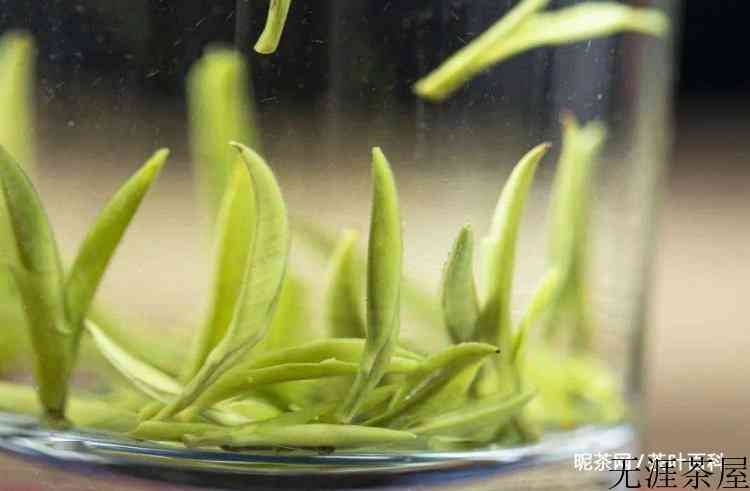 什么茶需要洗茶什么茶不需要洗