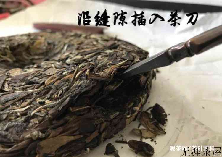 白茶用多少度的水