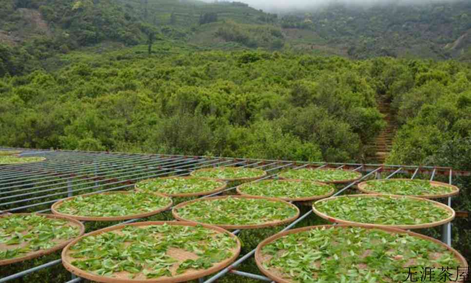 都匀毛尖茶产地在哪里