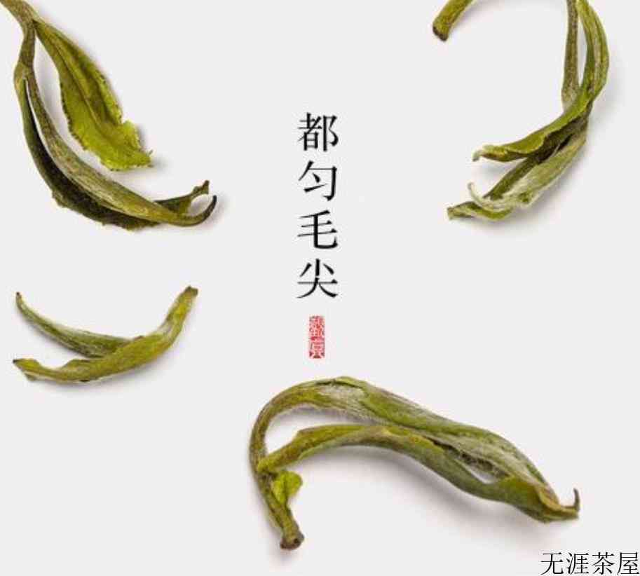 都匀毛尖茶产地在哪里