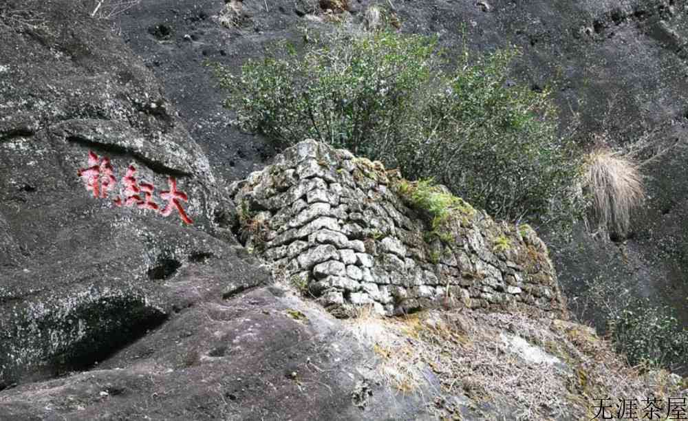 大红袍茶叶是红茶还是绿茶