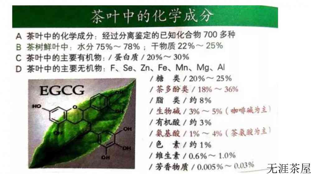 喝茶能提神吗