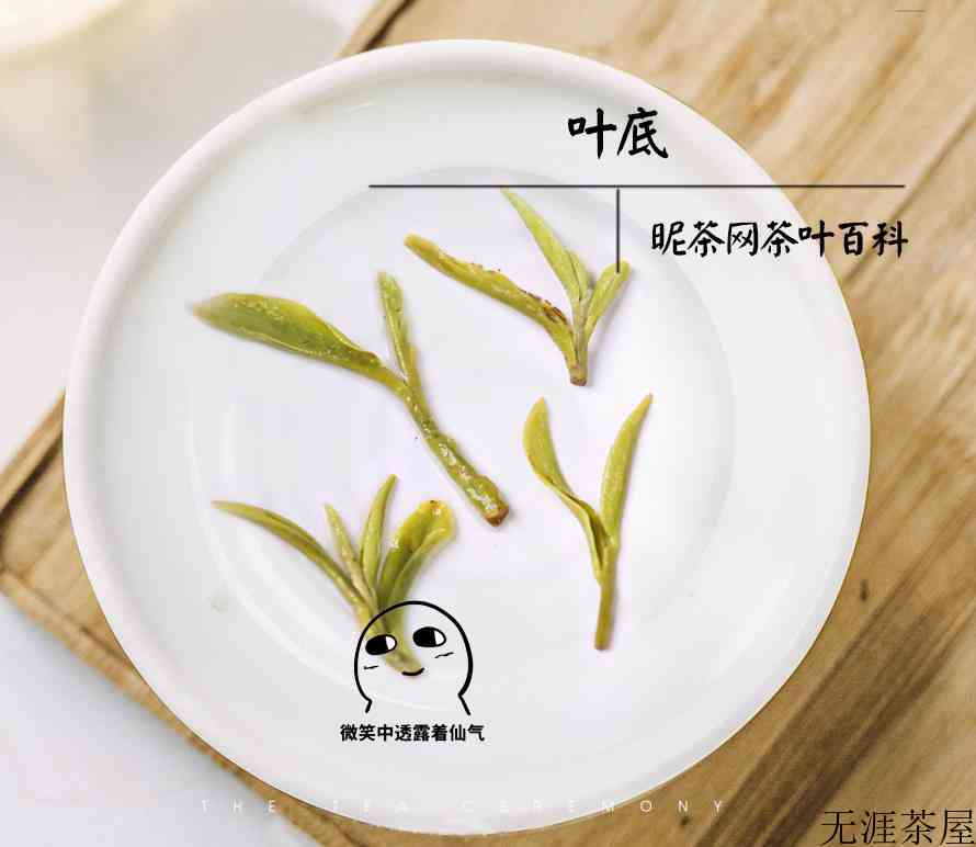 碧螺春怎么看出好坏