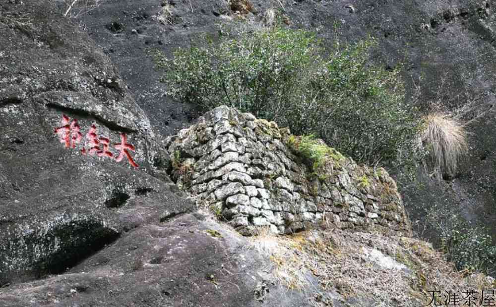 武夷山大红袍是什么茶