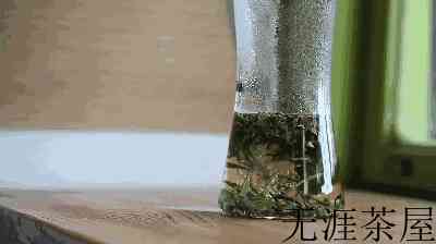 乌龙茶的冷泡法